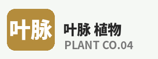 探花